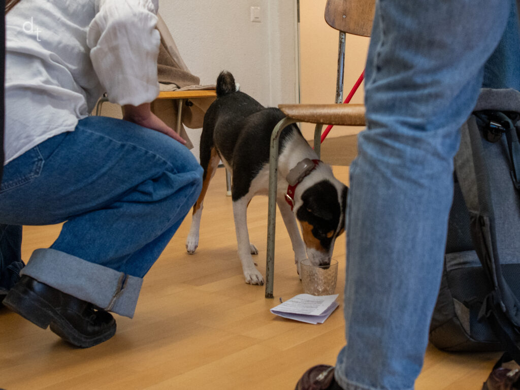 Tableronde26-09 Danse Transition